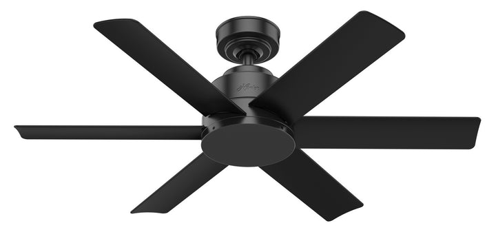 Hunter Fan Kennicott Indoor/Outdoor Ceiling Fan with Wall Control