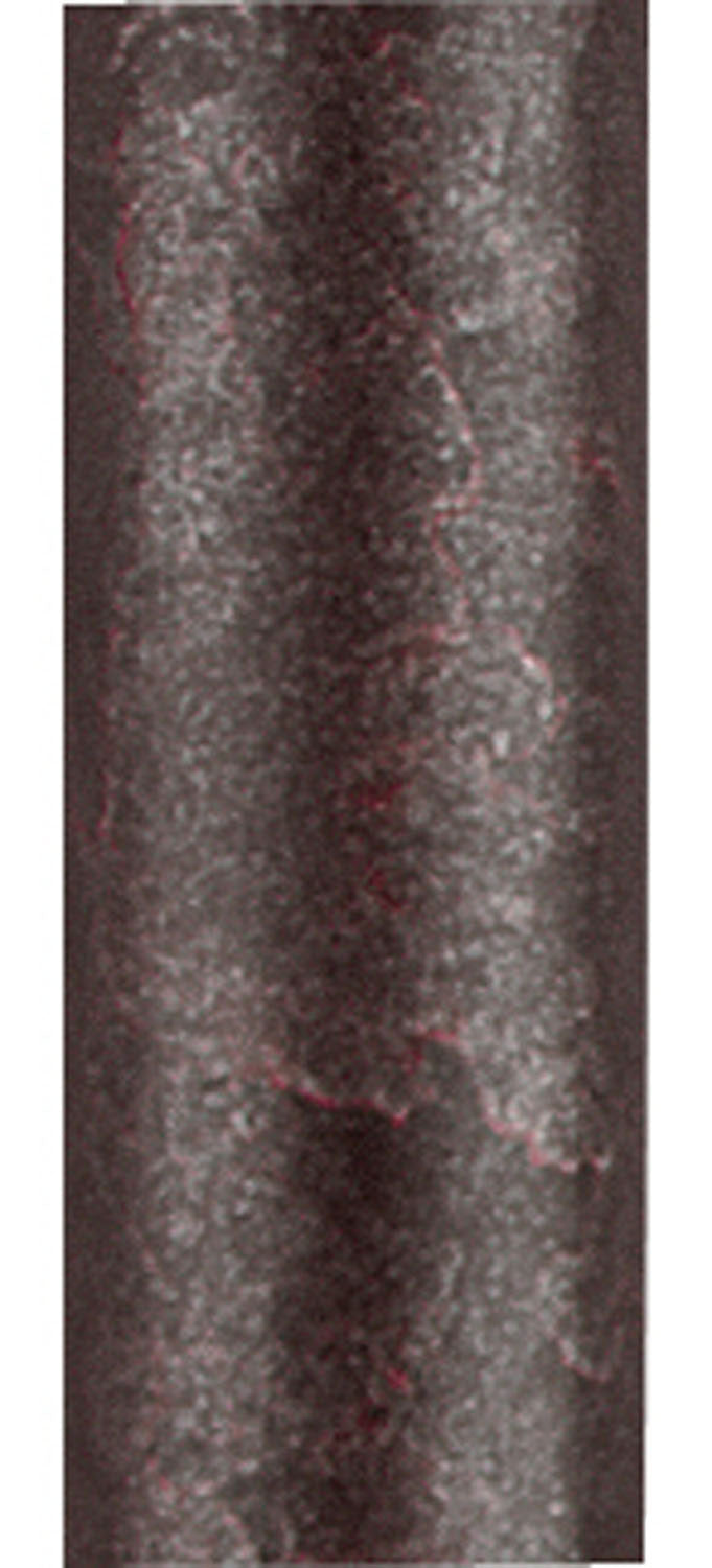 Downrod in Venice Bronze