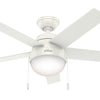 Hunter Anslee 46" Indoor Ceiling Fan