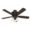 Hunter Promenade 54" Indoor Ceiling Fan