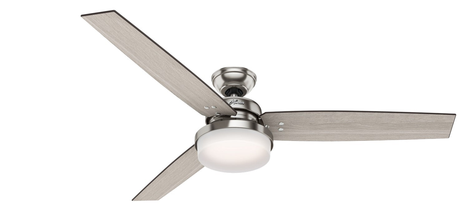 Hunter Sentinel | Indoor Ceiling Fan with 9W A19 & Handheld Remote