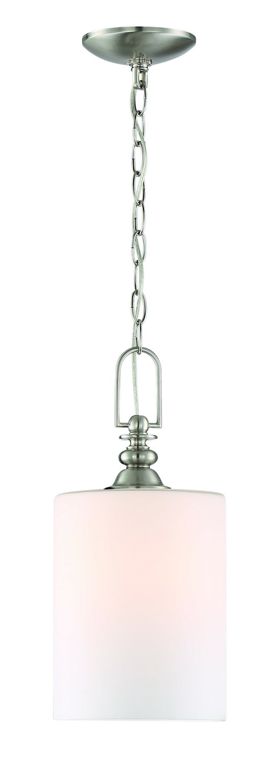 Dardyn One Light Mini Pendant in Brushed Polished Nickel