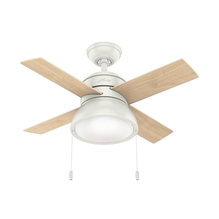 HunterLoki36"Ceiling Fan