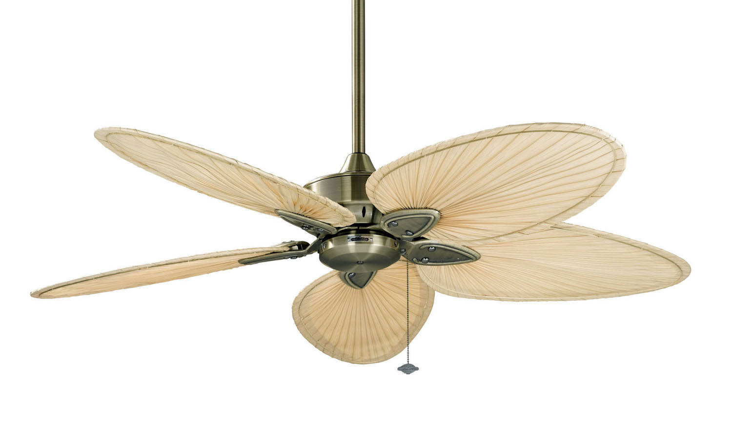 Fanimation 52``Ceiling Fan in Antique Brass | Fan Diego Fanimation 52``Ceiling Fan in Antique Brass | Fan Diego