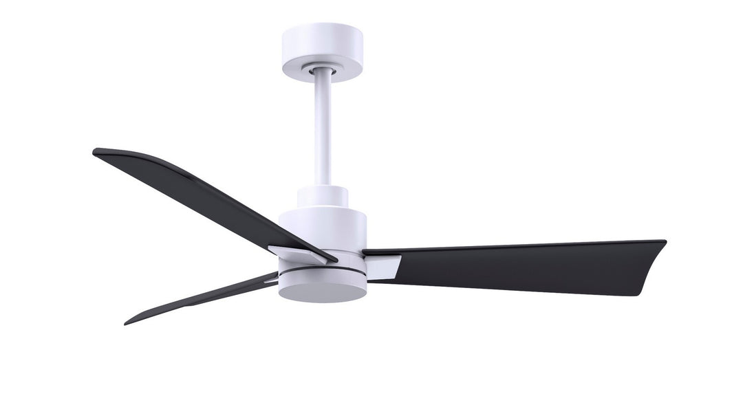 Matthews Fan Company Alessandra 42" Outdoor DC Ceiling Fan with Remote