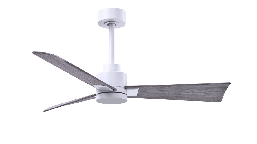 Matthews Fan Company Alessandra 42" Outdoor DC Ceiling Fan with Remote