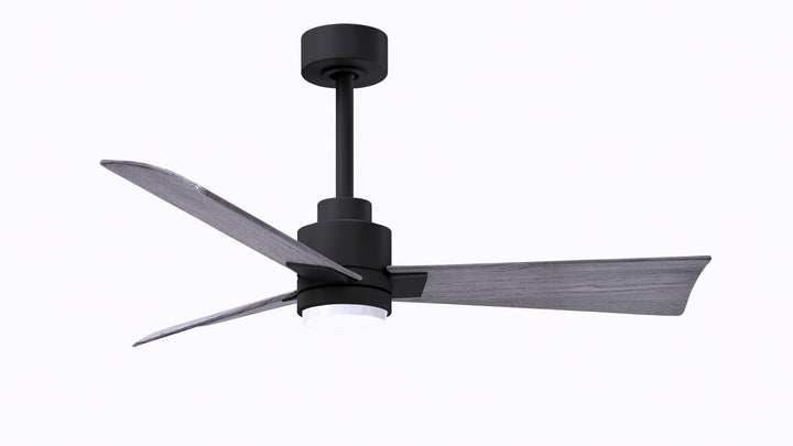 Matthews Fan Company Alessandra LK 42" Indoor/Outdoor 22W LED DC Ceiling Fan with Remote