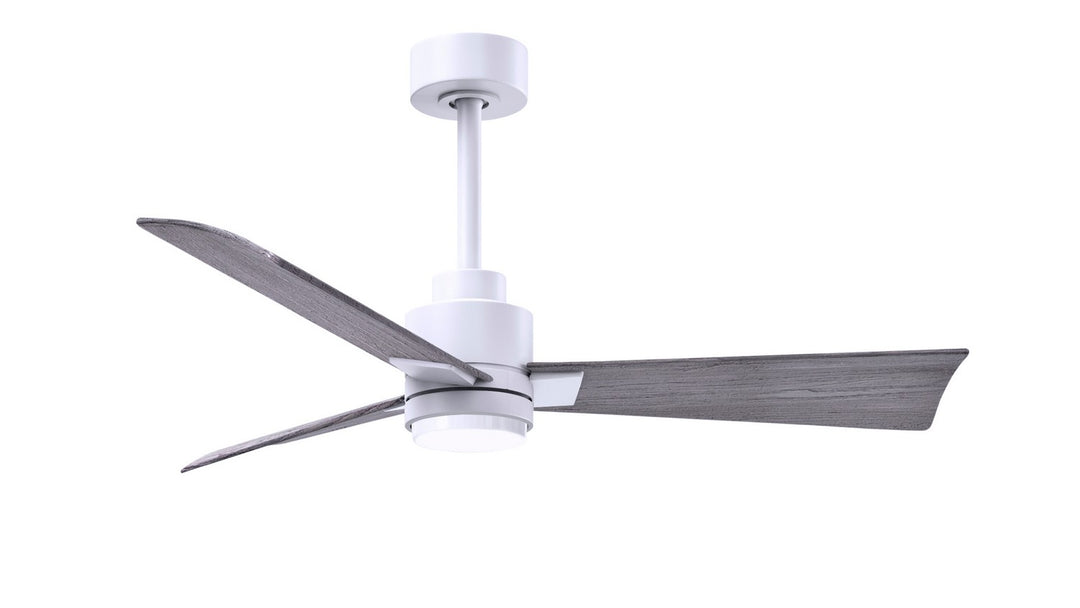 Matthews Fan Company Alessandra LK 42" Indoor/Outdoor 22W LED DC Ceiling Fan with Remote