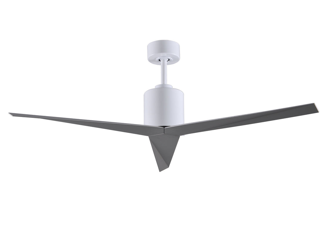 Matthews Fan Company Eliza 56" Outdoor DC Ceiling Fan with Remote and Wall Control