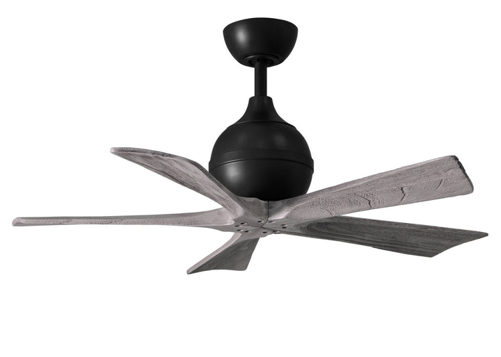 Matthews Fan Company Irene 5 42" Indoor/Outdoor DC Ceiling Fan with Remote and Wall Control