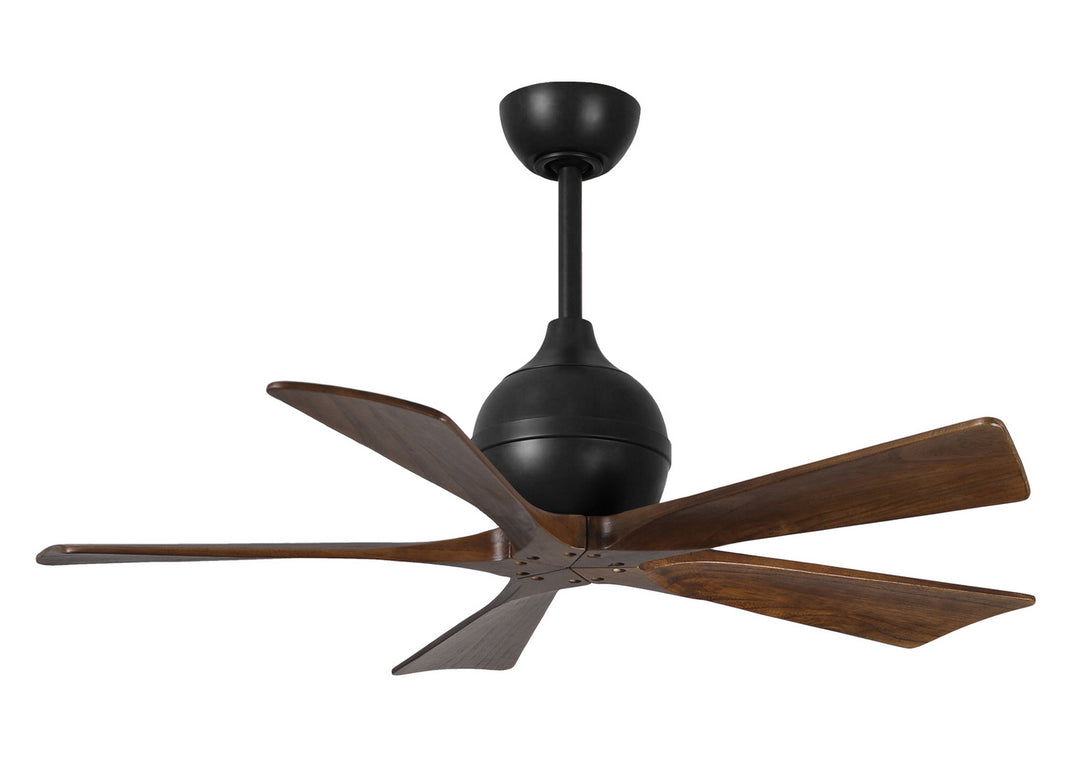 Matthews Fan Company Irene 5 42" Indoor/Outdoor DC Ceiling Fan with Remote and Wall Control