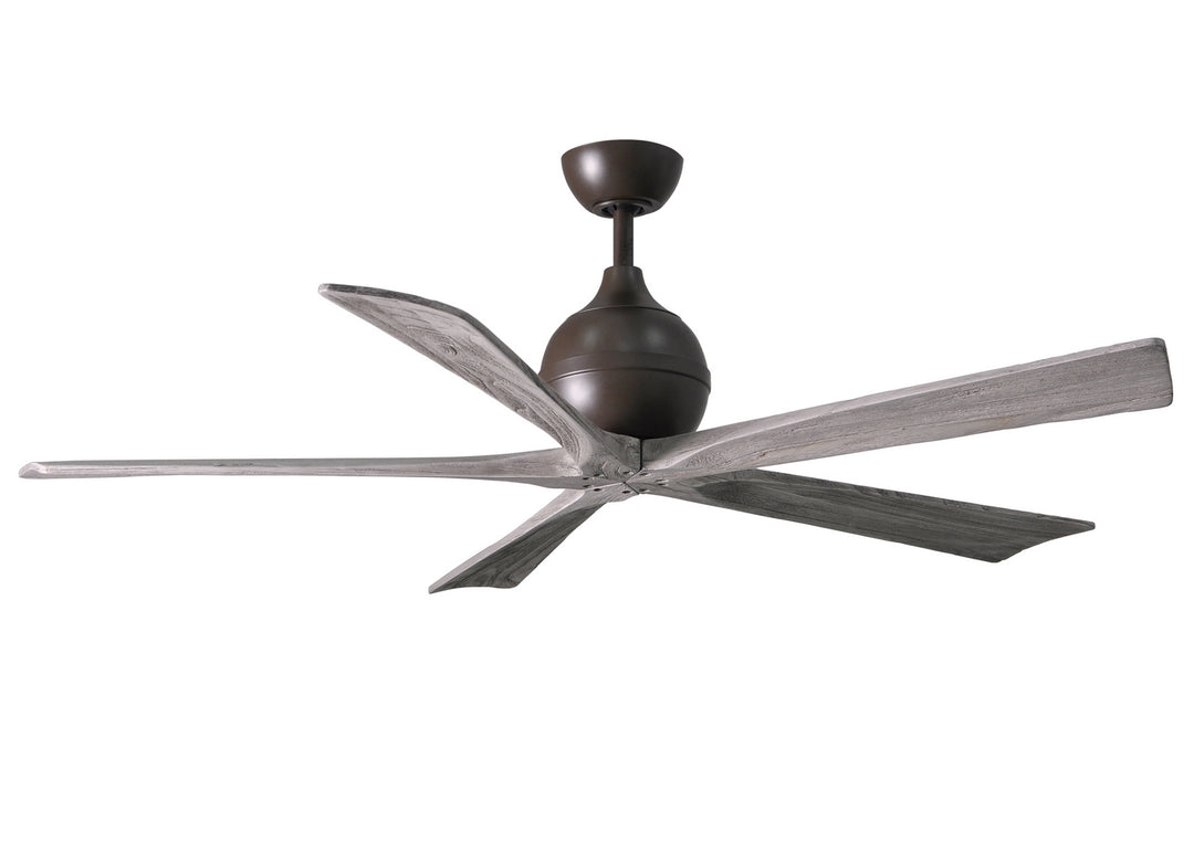 Matthews Fan Company Irene 5 60" Indoor/Outdoor DC Ceiling Fan with Remote and Wall Control