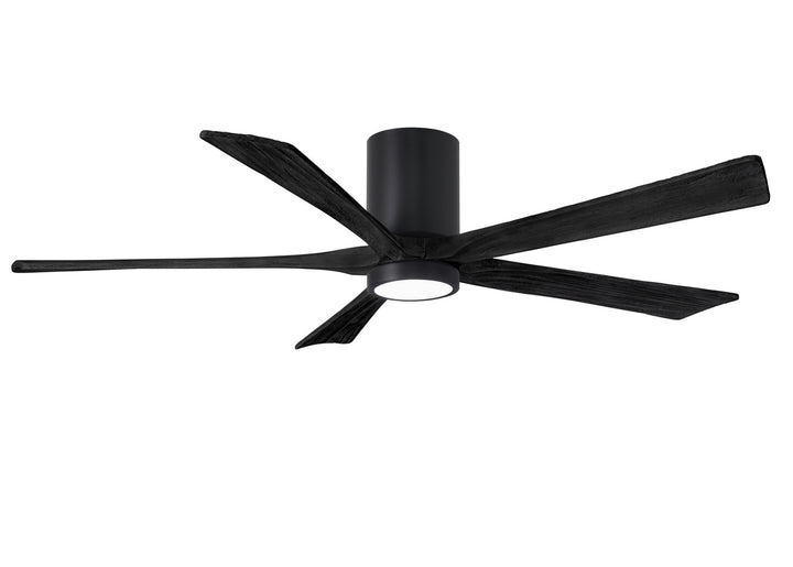 Matthews Fan Company Irene 60" Indoor/Outdoor DC Ceiling Fan with Remote and Wall Control