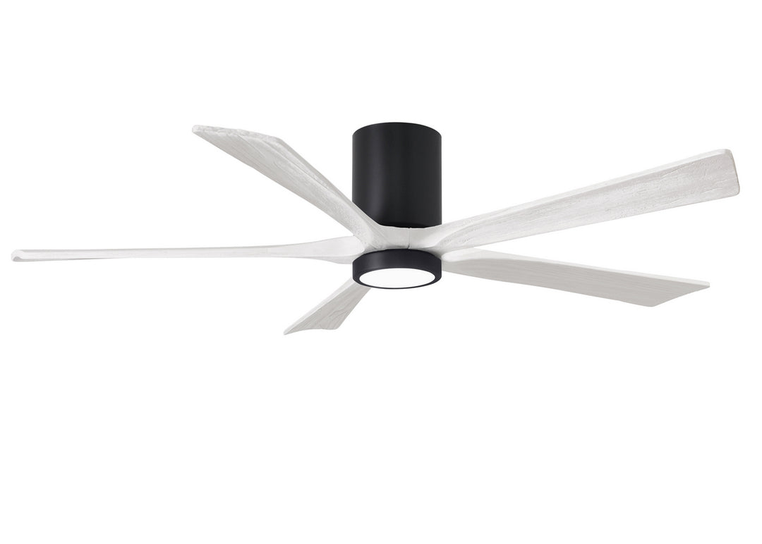 Matthews Fan Company Irene 60" Indoor/Outdoor DC Ceiling Fan with Remote and Wall Control