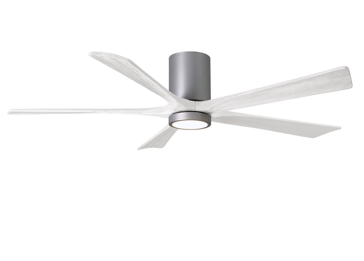 Matthews Fan Company Irene 60" Indoor/Outdoor DC Ceiling Fan with Remote and Wall Control