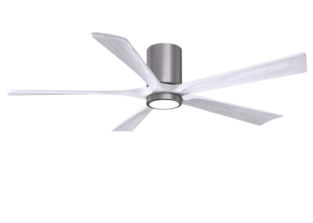 Matthews Fan Company Irene 60" Indoor/Outdoor DC Ceiling Fan with Remote and Wall Control