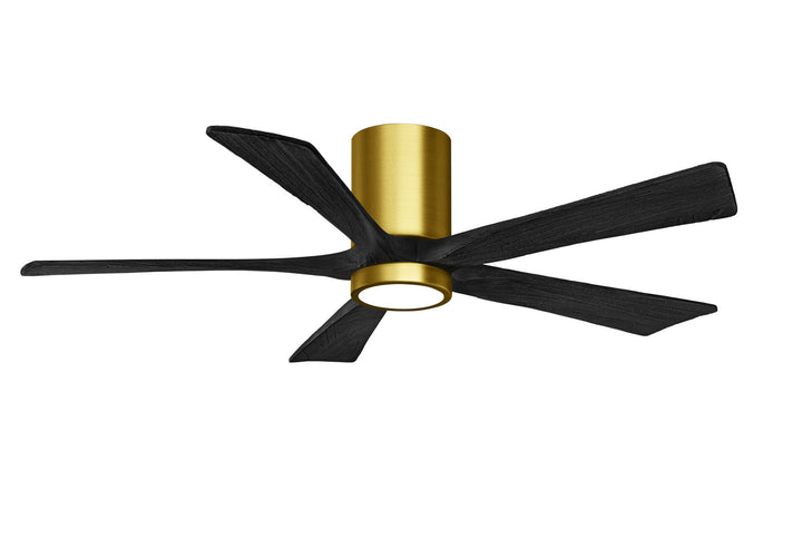 Matthews Fan Company Irene 5 HLK 52" Indoor/Outdoor DC Ceiling Fan with Remote and Wall Control