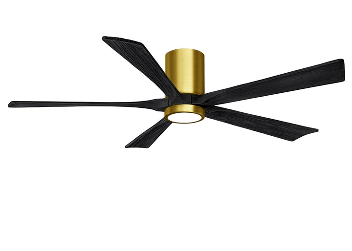 Matthews Fan Company Irene 60" Indoor/Outdoor DC Ceiling Fan with Remote and Wall Control