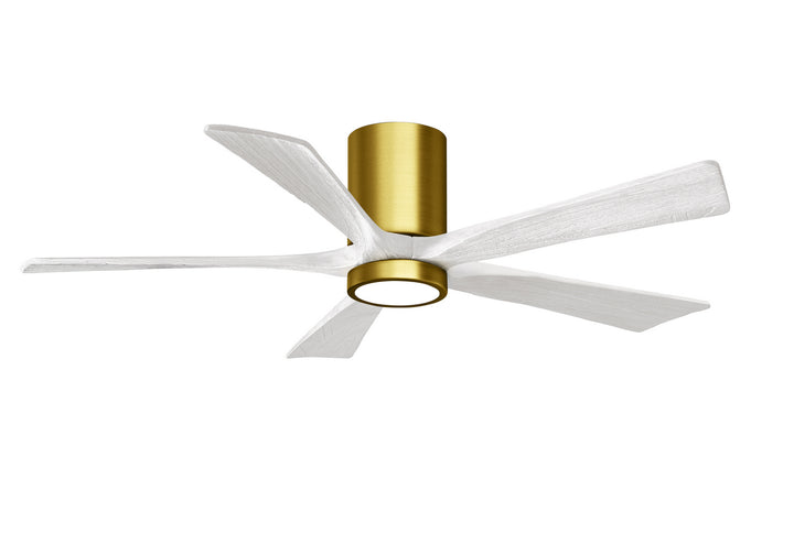 Matthews Fan Company Irene 5 HLK 52" Indoor/Outdoor DC Ceiling Fan with Remote and Wall Control