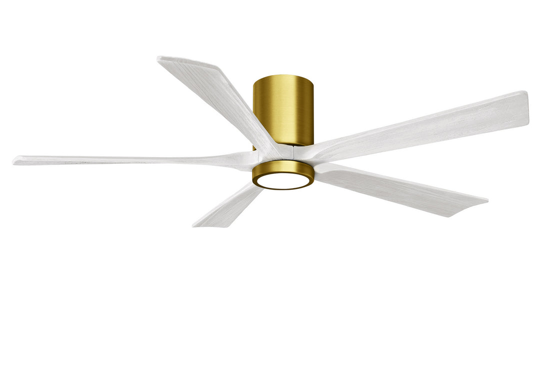 Matthews Fan Company Irene 60" Indoor/Outdoor DC Ceiling Fan with Remote and Wall Control