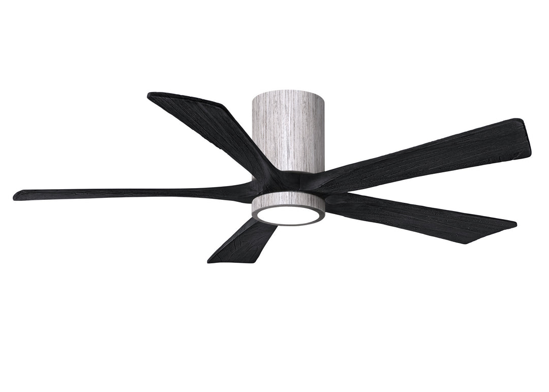 Matthews Fan Company Irene 5 HLK 52" Indoor/Outdoor DC Ceiling Fan with Remote and Wall Control