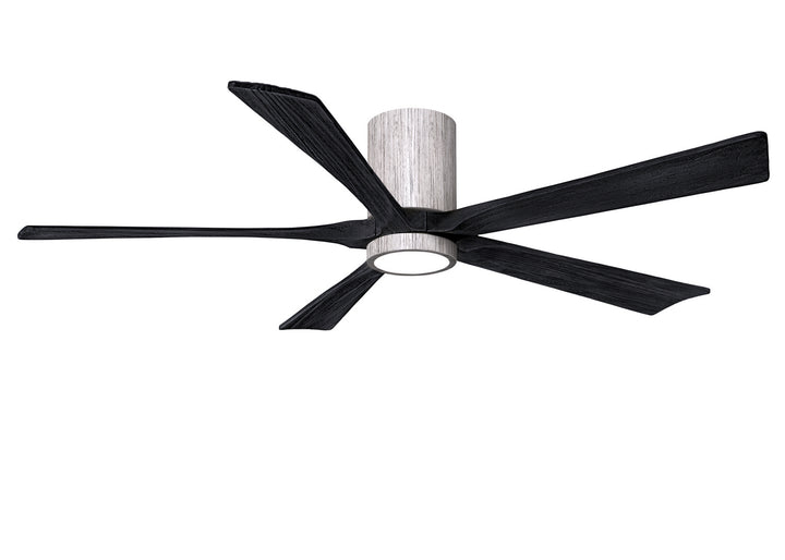 Matthews Fan Company Irene 60" Indoor/Outdoor DC Ceiling Fan with Remote and Wall Control