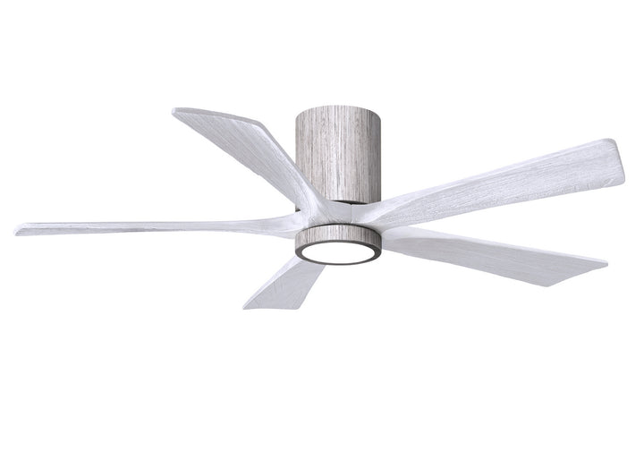 Matthews Fan Company Irene 5 HLK 52" Indoor/Outdoor DC Ceiling Fan with Remote and Wall Control