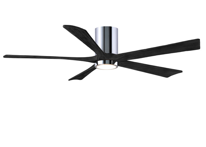 Matthews Fan Company Irene 60" Indoor/Outdoor DC Ceiling Fan with Remote and Wall Control