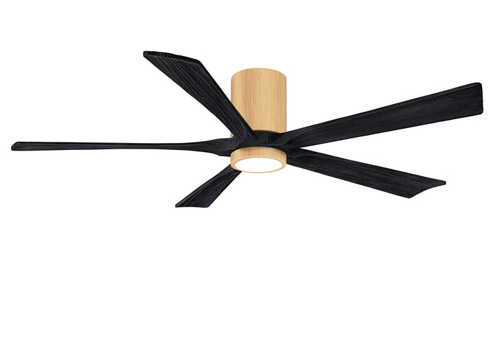 Matthews Fan Company Irene 60" Indoor/Outdoor DC Ceiling Fan with Remote and Wall Control