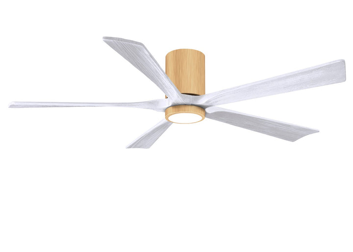 Matthews Fan Company Irene 60" Indoor/Outdoor DC Ceiling Fan with Remote and Wall Control