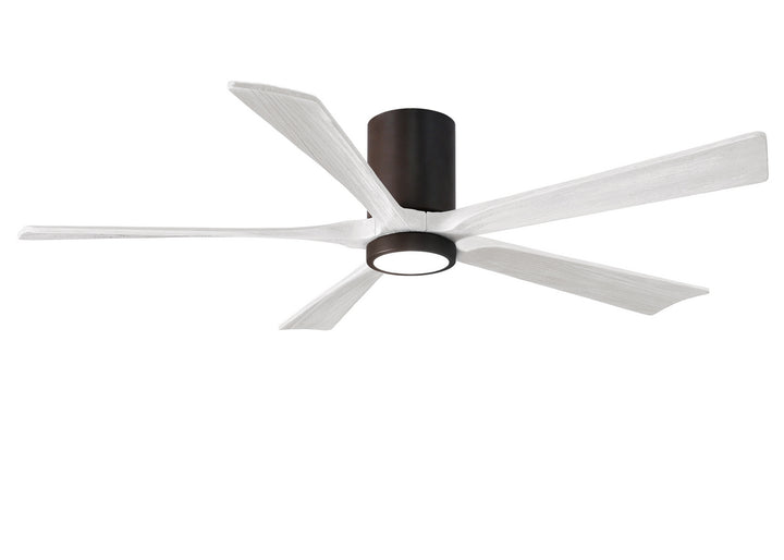 Matthews Fan Company Irene 60" Indoor/Outdoor DC Ceiling Fan with Remote and Wall Control