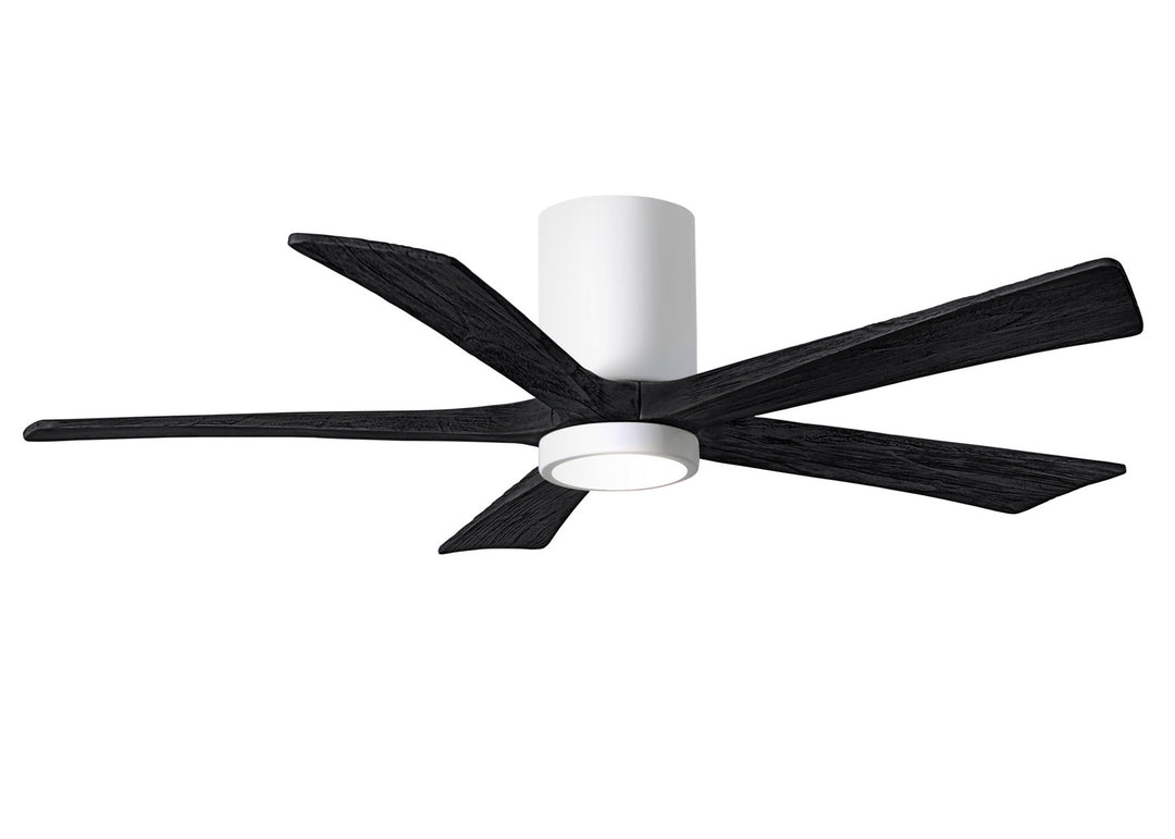 Matthews Fan Company Irene 5 HLK 52" Indoor/Outdoor DC Ceiling Fan with Remote and Wall Control