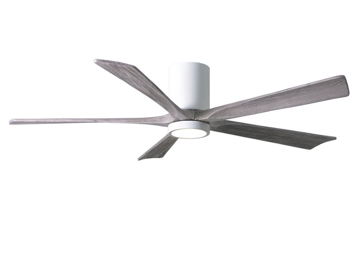 Matthews Fan Company Irene 60" Indoor/Outdoor DC Ceiling Fan with Remote and Wall Control