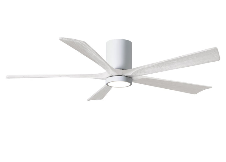 Matthews Fan Company Irene 60" Indoor/Outdoor DC Ceiling Fan with Remote and Wall Control