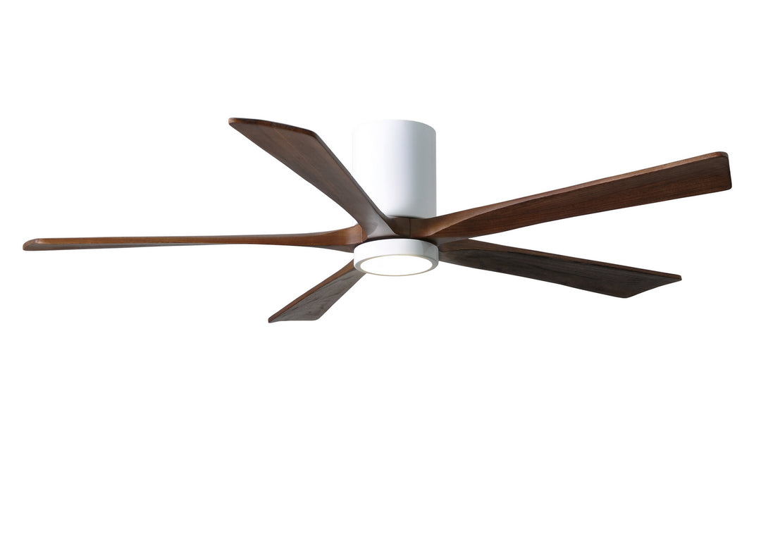 Matthews Fan Company Irene 60" Indoor/Outdoor DC Ceiling Fan with Remote and Wall Control