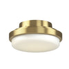 Fanimation TriAire Custom LED Light Kit in Brushed Satin Brass
