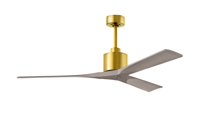 Matthews Fan Company Nan 60" Indoor/Outdoor DC Ceiling Fan with Remote and Wall Control