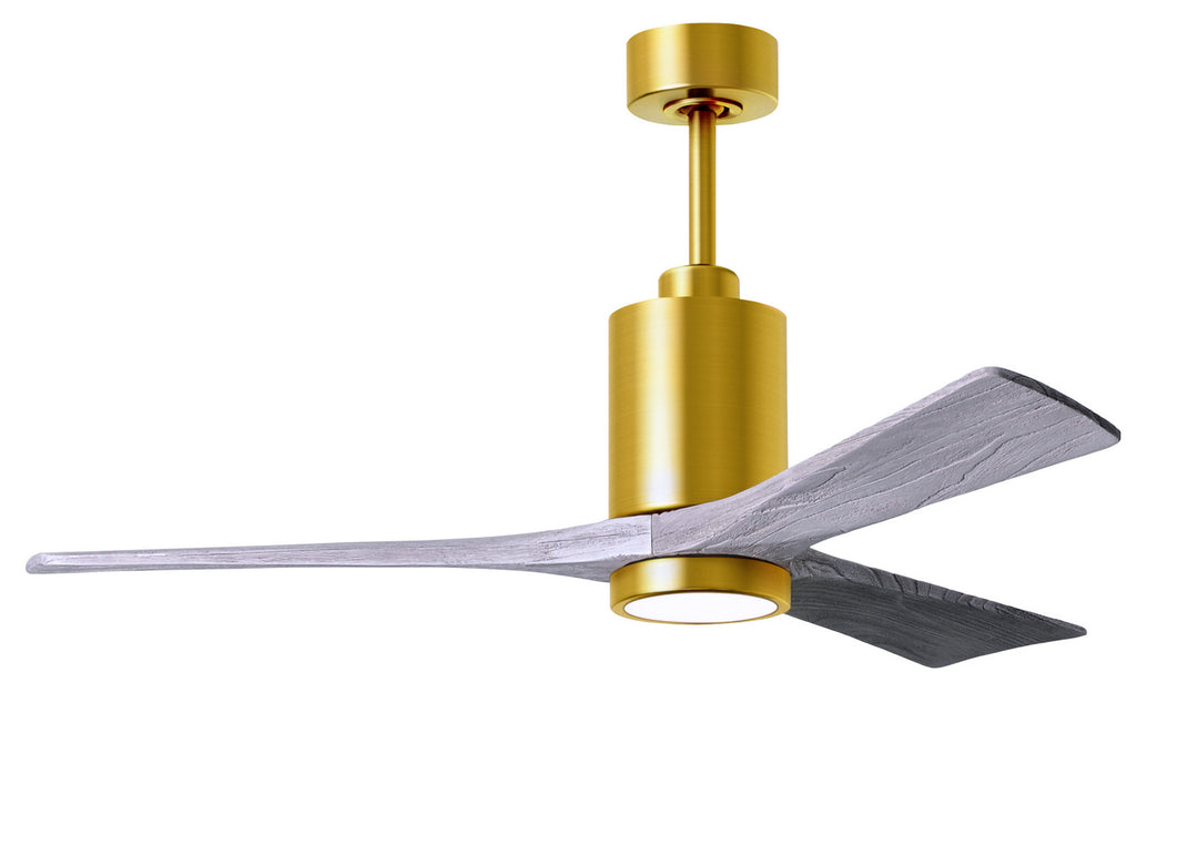 Matthews Fan Company Patricia 3 52" Indoor/Outdoor DC Ceiling Fan with Remote and Wall Control