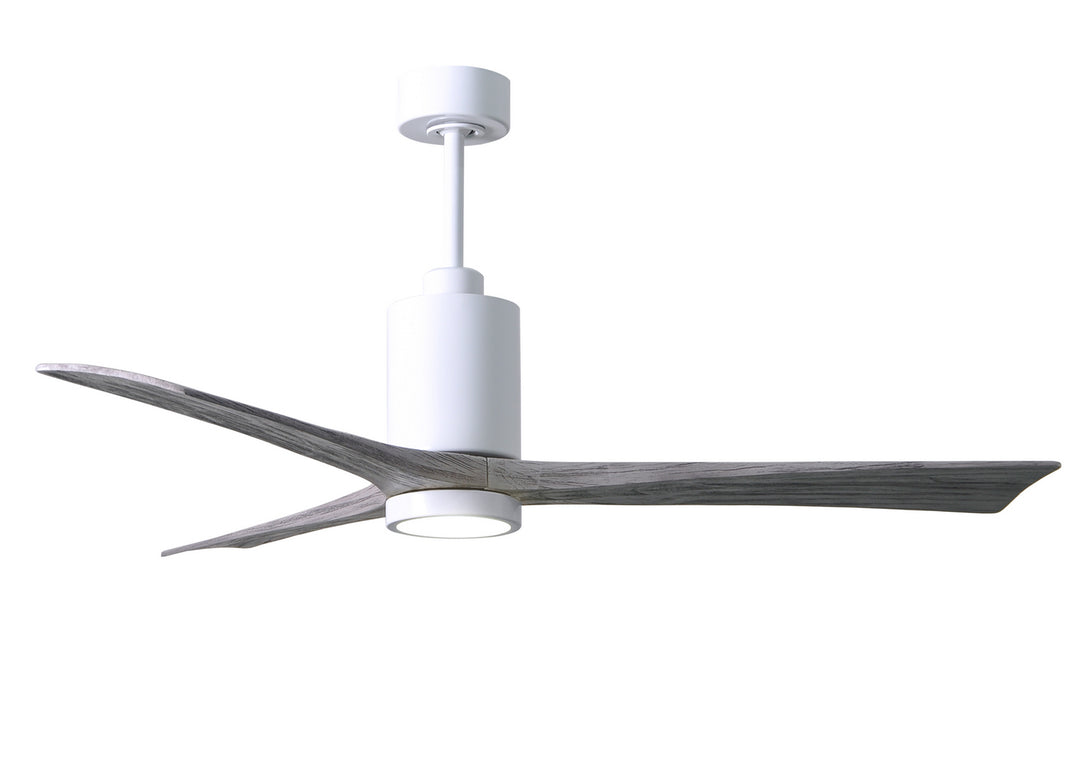 Matthews Fan Company Patricia 3 60" Indoor/Outdoor DC LED Ceiling Fan with Remote and Wall Control