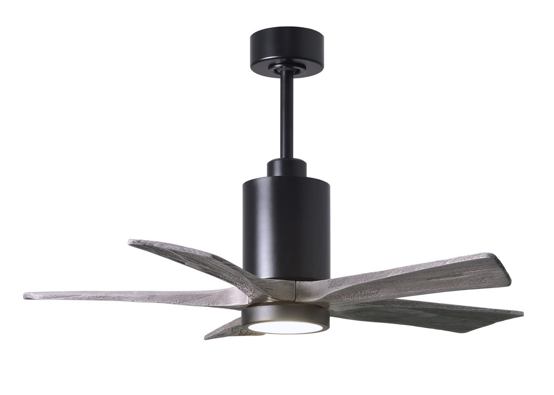 Matthews Fan Company Patricia 5 42" Indoor/Outdoor DC LED Ceiling Fan with Remote and Wall Control