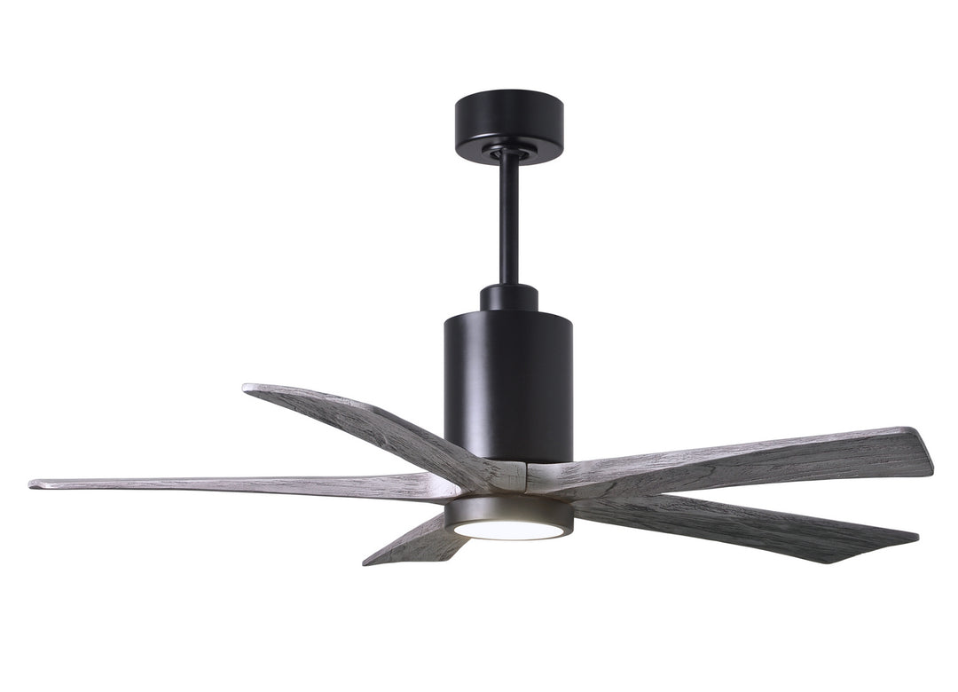 Matthews Fan Company Patricia 5 52" Indoor/Outdoor DC LED Ceiling fan with Remote and Wall Control