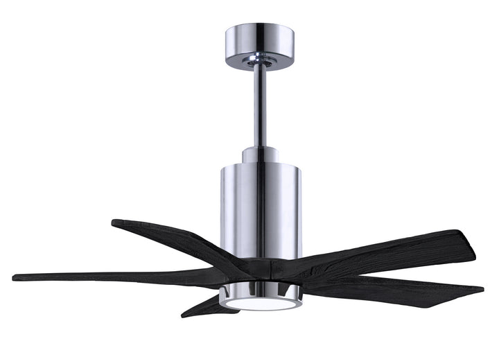 Matthews Fan Company Patricia 5 42" Indoor/Outdoor DC LED Ceiling Fan with Remote and Wall Control