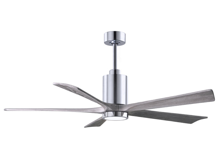 Matthews Fan CompanyPatricia 5 60" Indoor/Outdoor DC LED Ceiling Fan with Remote and Wall Control