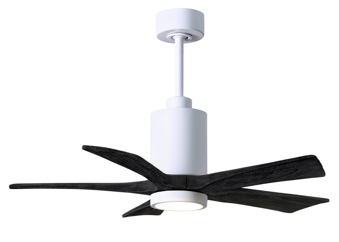 Matthews Fan Company Patricia 5 42" Indoor/Outdoor DC LED Ceiling Fan with Remote and Wall Control