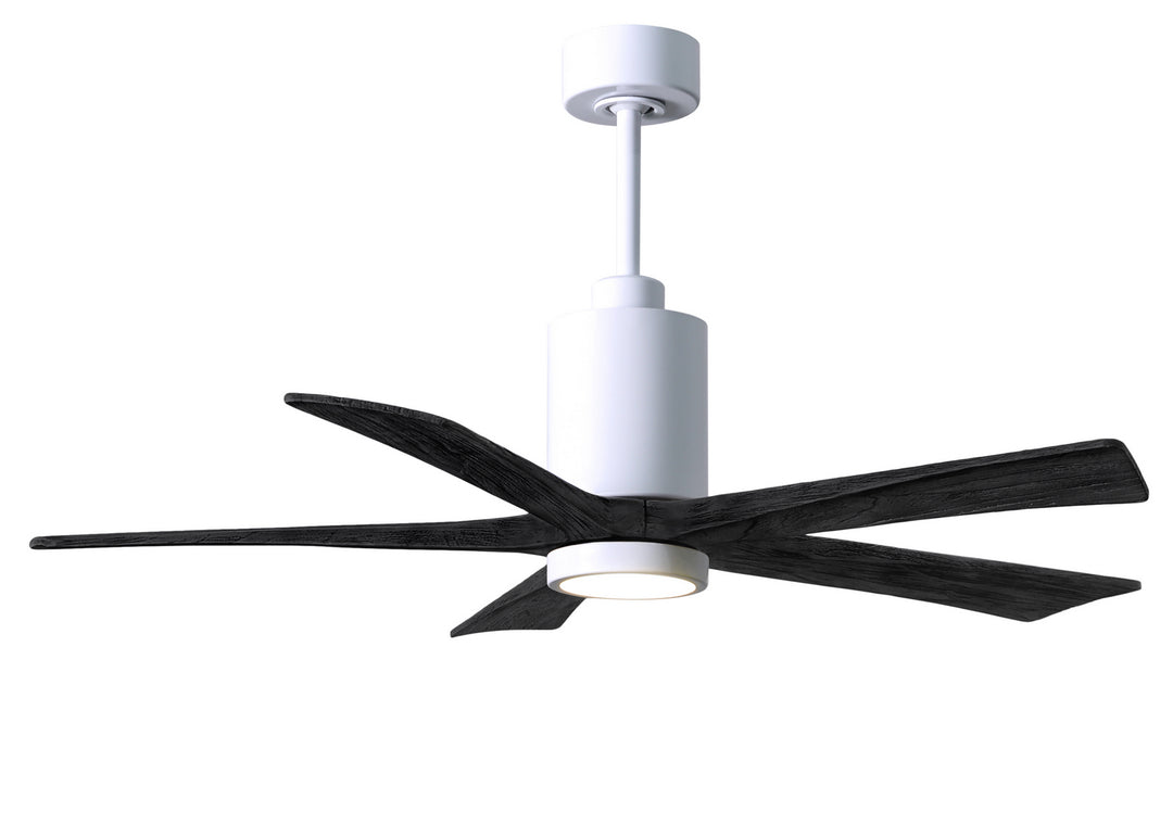 Matthews Fan Company Patricia 5 52" Indoor/Outdoor DC LED Ceiling fan with Remote and Wall Control