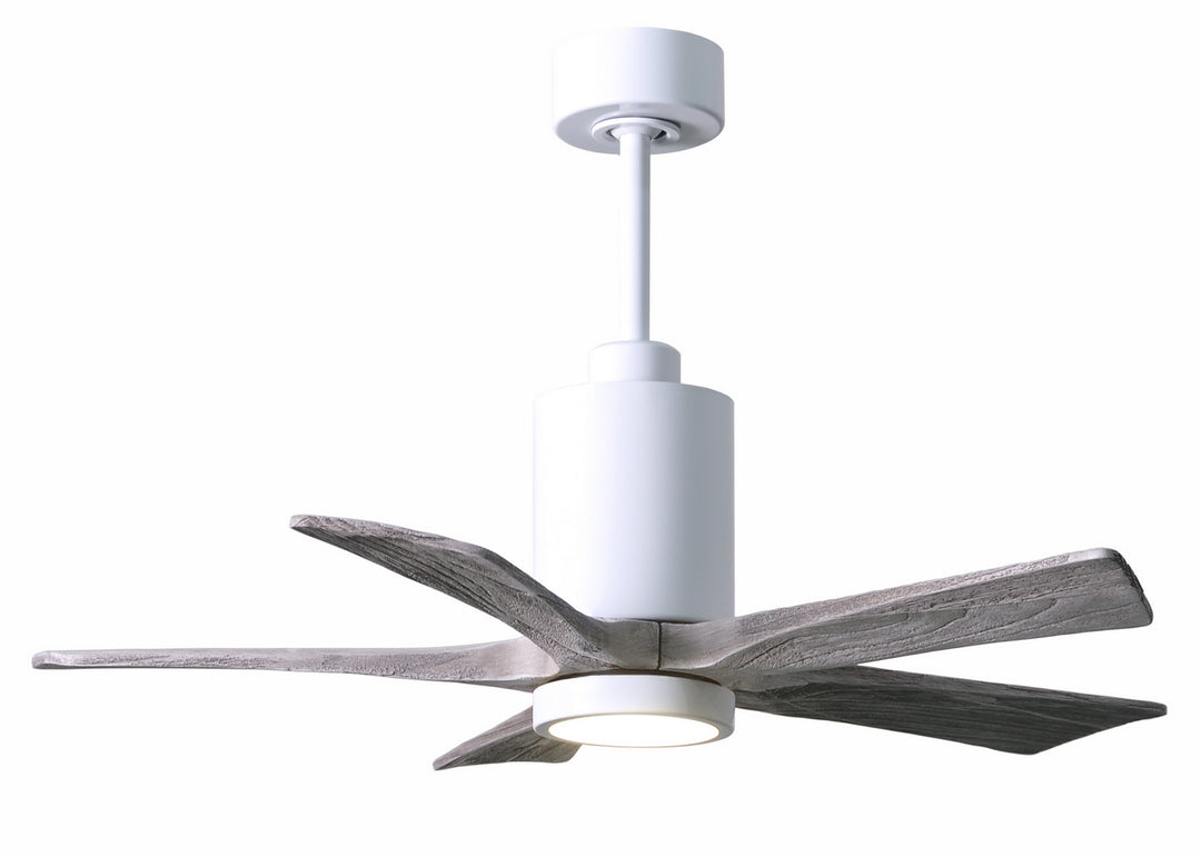 Matthews Fan Company Patricia 5 42" Indoor/Outdoor DC LED Ceiling Fan with Remote and Wall Control