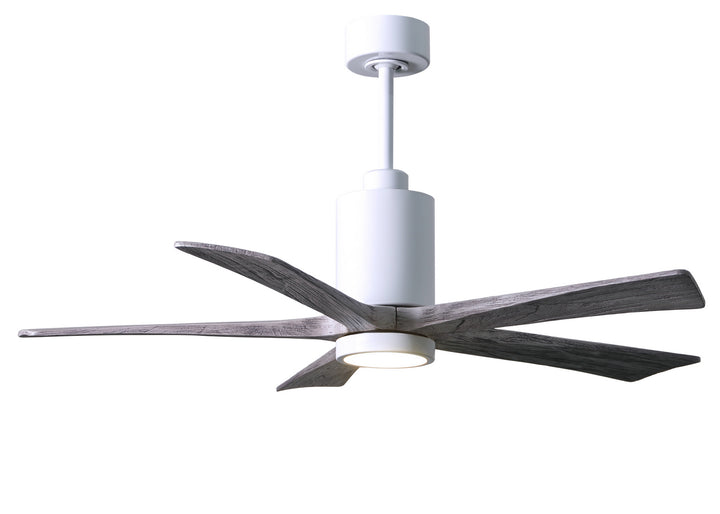 Matthews Fan Company Patricia 5 52" Indoor/Outdoor DC LED Ceiling fan with Remote and Wall Control