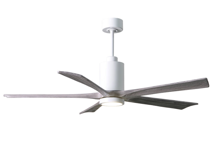 Matthews Fan CompanyPatricia 5 60" Indoor/Outdoor DC LED Ceiling Fan with Remote and Wall Control