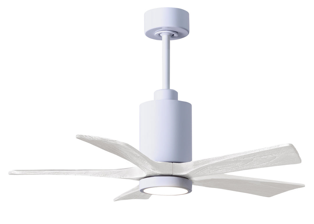 Matthews Fan Company Patricia 5 42" Indoor/Outdoor DC LED Ceiling Fan with Remote and Wall Control