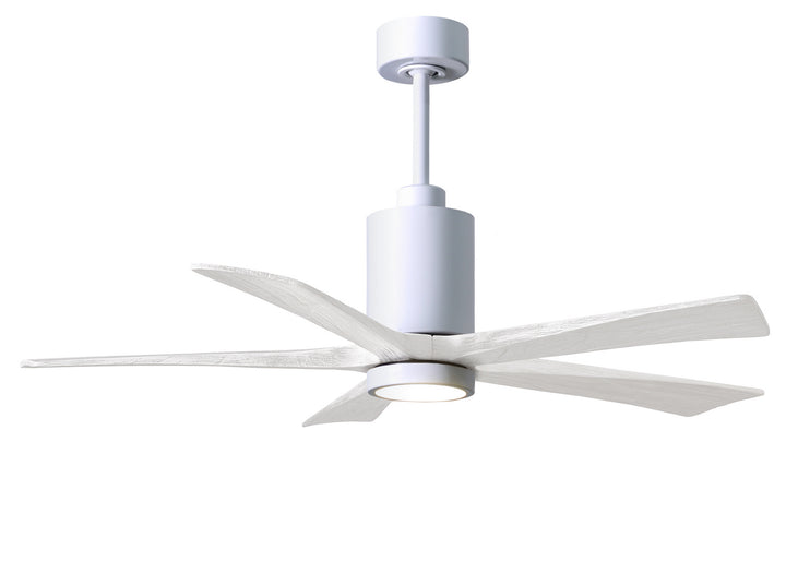 Matthews Fan Company Patricia 5 52" Indoor/Outdoor DC LED Ceiling fan with Remote and Wall Control